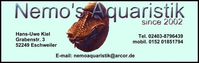 NemoAquaistik.jpg