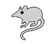 maus.gif