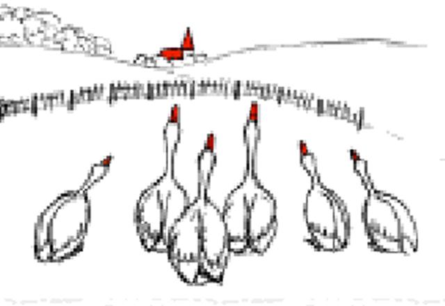 g_25.jpg 
            width=