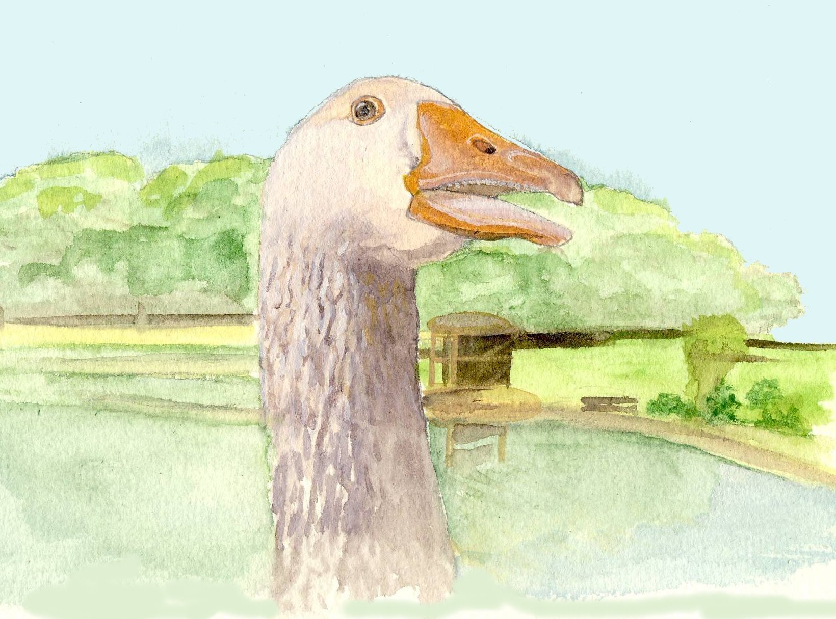 g_29.jpg 
            width=