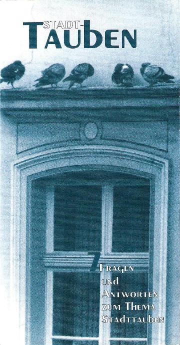 tauben1.jpg