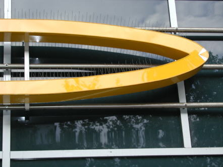 Zum Vergrößern bitte klicken tauben1.jpg