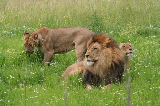 zoo1_wuppertal.jpg
