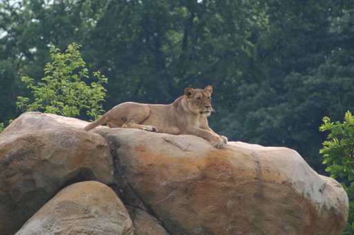 zoo6_wuppertal.jpg