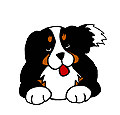 hund_wedelt.gif